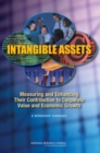 Image for Intangible Assets : Measuring and Enhancing Their Contribution to Corporate Value and Economic Growth