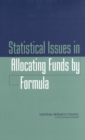 Image for Statistical Issues in Allocating Funds by Formula