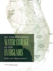 Image for Re-Engineering Water Storage in the Everglades: Risks and Opportunities
