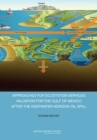 Image for Approaches for Ecosystem Services Valuation for the Gulf of Mexico After the Deepwater Horizon Oil Spill