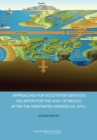 Image for Approaches for ecosystem services valuation for the Gulf of Mexico after the Deepwater Horizon oil spill: interim report