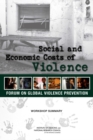 Image for Social and Economic Costs of Violence : Workshop Summary