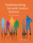 Image for Implementing Juvenile Justice Reform : The Federal Role