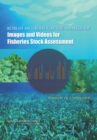 Image for Robust methods for the analysis of images and videos for fisheries stock assessment: summary of a workshop