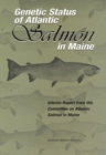 Image for Genetic Status of Atlantic Salmon in Maine: Interim Report from the Committee on Atlantic Salmon in Maine