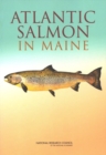 Image for Atlantic Salmon in Maine.