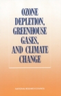 Image for Ozone depletion, greenhouse gases, and climate change: proceedings of a joint symposium by the Board on Atmospheric Sciences and Climate and the Committee on Global Change, Commission on Physical Sciences, Mathematics, and Resources, National Research Council.