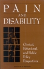 Image for Pain and Disability: Clinical, Behavioral, and Public Policy Perspectives.