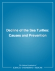 Image for Decline of the sea turtles: causes and prevention