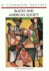 Image for A Common destiny: Blacks and American society