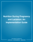 Image for Nutrition during pregnancy and lactation: an implementation guide