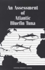 Image for An assessment of Atlantic bluefin tuna