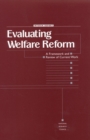Image for Evaluating welfare reform: a framework and review of current work : interim report
