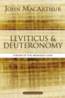 Image for Leviticus and Deuteronomy : Visions of the Promised Land
