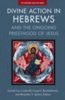 Image for Divine Action in Hebrews