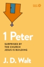 Image for 1 Peter : Surprised by the Church Jesus is Building