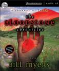 Image for The Bloodstone Chronicles : A Journey of Faith