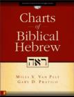 Image for Charts of Biblical Hebrew