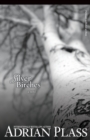 Image for Silver Birches : A Novel