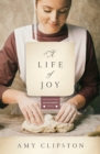Image for A Life of Joy : A Novel