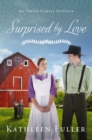Image for Amish Family: Four Stories