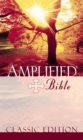 Image for Amplified Bible.