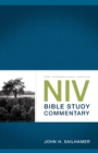 Image for NIV Bible Study Commentary