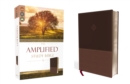 Image for The Amplified Study Bible, Leathersoft, Brown