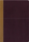 Image for KJV, Amplified, Parallel Bible, Large Print, Bonded Leather, Black, Red Letter Edition