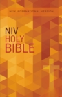 Image for NIV, Value Outreach Bible, Paperback