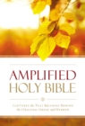 Image for Amplified Outreach Bible, Paperback : Capture the Full Meaning Behind the Original Greek and Hebrew