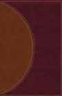 Image for Amplified Reading Bible, Leathersoft, Brown, Thumb Indexed