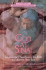Image for God at  Sinai : Covenant and Theophany in the Bible and Ancient Near East