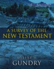 Image for A survey of the New Testament