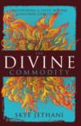 Image for The Divine Commodity : Discovering a Faith Beyond Consumer Christianity