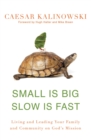 Image for Small Is Big, Slow Is Fast