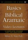 Image for Basics of Biblical Aramaic Video Lectures : A Complete Course for the Beginner