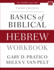 Image for Basics of Biblical Hebrew Workbook