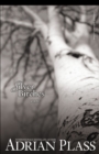 Image for Silver Birches: A Novel