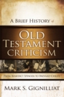 Image for A brief history of old testament criticism: from benedict spinoza to brevard childs