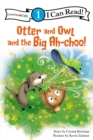 Image for Otter and Owl and the Big Ah-choo! : Level 1