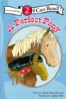 Image for A Perfect Pony : Level 2
