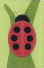Image for The Bug Collection Bible- Ladybug