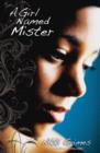 Image for A Girl Named Mister