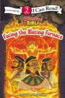 Image for Facing the Blazing Furnace