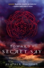 Image for Toward a Secret Sky