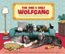Image for The one &amp; only Wolfgang: from pet rescue to one big happy family