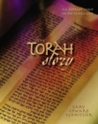 Image for Torah Story: An Apprenticeship on the Pentateuch