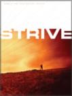 Image for TNIV Strive : The Bible for Men