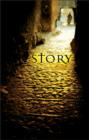 Image for The Story : Encounter the Story of Scripture in a Whole New Way